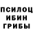 Псилоцибиновые грибы MAGIC MUSHROOMS mr. a