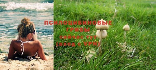 мяу мяу мука Абинск