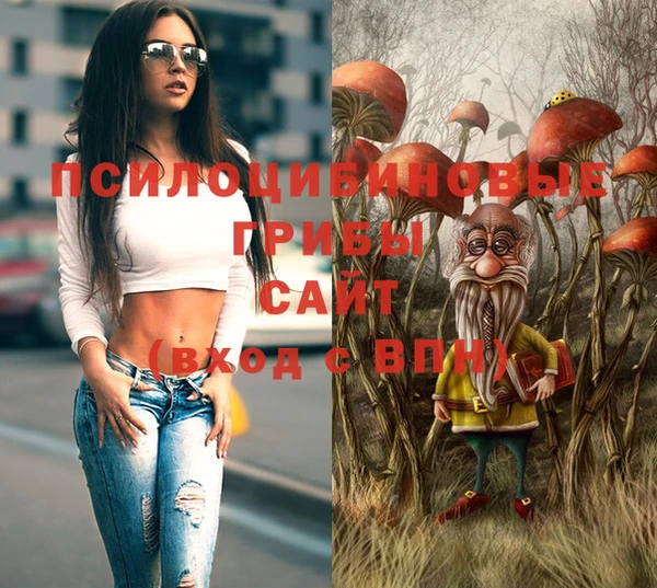 стафф Россошь