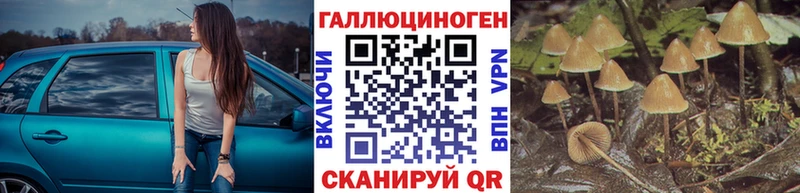 Галлюциногенные грибы мицелий Котельнич